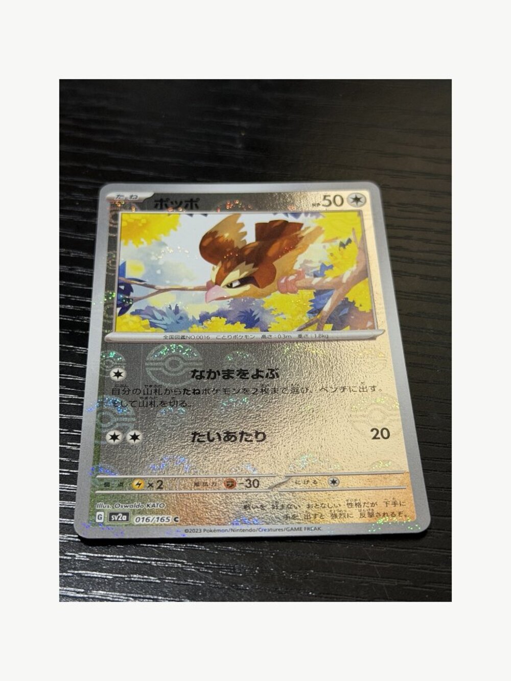 2023 Pokemon JP Pidgey 016/165 Poke Ball Rev Holo Raw NM